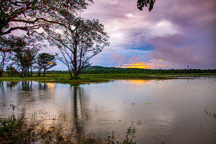 Habarana River attractions in Sri Lanka