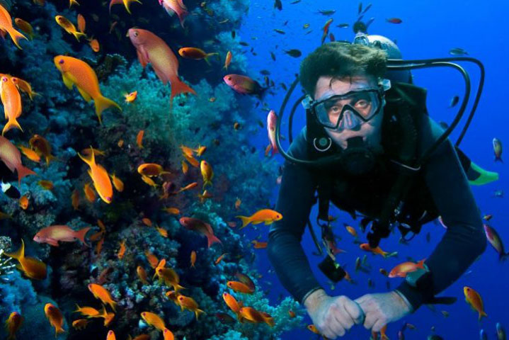 Coral Island offers thrilling snorkeling in Trincomalee.